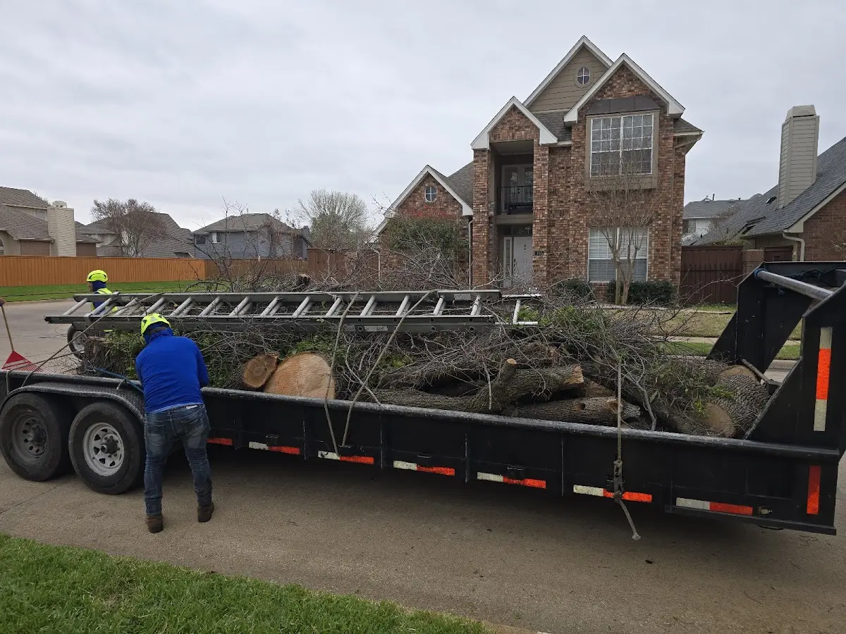 Expert Crown Reduction with proper safety equipment in Iron River